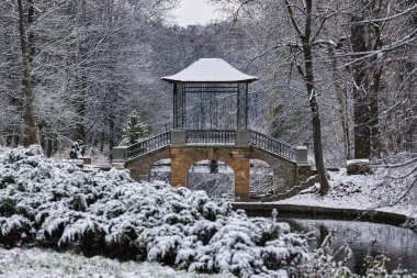 Buzlu ağaçlar ve çalılarla çevrili Çin köprüsü ile kaplı karla kaplı bir parkın manzarası soğuk havada doğanın dingin güzelliğini yansıtıyor..