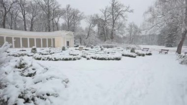 Klasik tarzda güzel bir bina. Colonado 