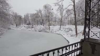 Kış ormanında güzel bir yürüyüş. Ağaçlar, dallar ve çalılar karda. Her yer kar. Ormandaki yol karla kaplı..