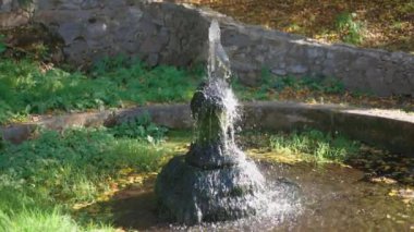 Yeşil çimen ve bitkilerle çevrili taşlarla çevrili bir gölette yosun püskürten küçük bir çeşme, etrafa saçılmış sonbahar yapraklarıyla birlikte..