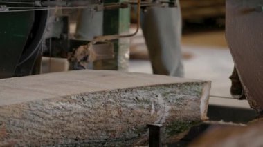 Bıçkıhanede, bir testere kahverengi ahşap keser. Ağaç kabuğu ve eski paslı testere. Yakın plan. Kereste fabrikasında çalış. Tahta ve odun parçalarından toz uçar.