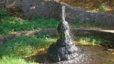 Yeşil çimen ve bitkilerle çevrili taşlarla çevrili bir gölette yosun püskürten küçük bir çeşme, etrafa saçılmış sonbahar yapraklarıyla birlikte..