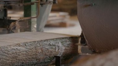 Bıçkıhanede, bir testere kahverengi ahşap keser. Ağaç kabuğu ve eski paslı testere. Yakın plan. Kereste fabrikasında çalış. Tahta ve odun parçalarından toz uçar.