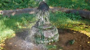 Amsterdam, Kuzey Hollanda, Hollanda - 09.07.2024: Yeşil çimen ve bitkilerle çevrili taştan bir gölette yosunlarla kaplı küçük bir çeşme, etrafa saçılmış sonbahar yapraklarıyla birlikte su püskürtür.