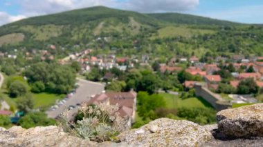 Tepenin tepesinden manzaralı bir manzara, ön planda kayalar üzerinde büyüyen küçük bitkilere odaklanmış, yemyeşil tepelerle çevrili bulanık bir köyün arka planına sahip..