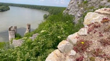 Bereketli yeşil ormanlarla ve açık mavi gökyüzünün altında güneşli bir günde doğanın huzurunu yakalayan bulutlarla çevrili sakin bir nehir manzarası..