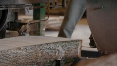 Bıçkıhanede, bir testere kahverengi ahşap keser. Ağaç kabuğu ve eski paslı testere. Yakın plan. Kereste fabrikasında çalış. Tahta ve odun parçalarından toz uçar.