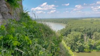 Bereketli yeşil ormanlarla ve açık mavi gökyüzünün altında güneşli bir günde doğanın huzurunu yakalayan bulutlarla çevrili sakin bir nehir manzarası..