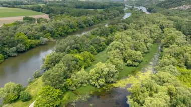 Bereketli yeşil ormanlarla ve açık mavi gökyüzünün altında güneşli bir günde doğanın huzurunu yakalayan bulutlarla çevrili sakin bir nehir manzarası..