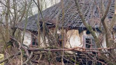 Yapraksız ağaçlar ve aşırı büyümüş dallarla çevrili terk edilmiş, harap bir ev. Çatı ve duvarları hasarlı bir şekilde çökmüş olarak görünen yapı, çürüme ve ihmal hissi veriyor..