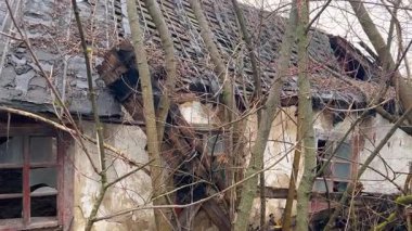 Yapraksız ağaçlar ve aşırı büyümüş dallarla çevrili terk edilmiş, harap bir ev. Çatı ve duvarları hasarlı bir şekilde çökmüş olarak görünen yapı, çürüme ve ihmal hissi veriyor..