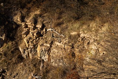 Sert dokuları olan kayalık kayalık, altın güneş ışığı ve seyrek bitki örtüsü. Engebeli arazi, etrafa saçılmış kuru bitkiler ve topraksı tonlarla doğal aşınmayı vurguluyor..