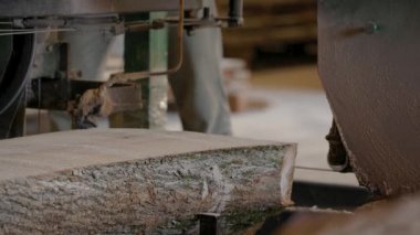 Bıçkıhanede, bir testere kahverengi ahşap keser. Ağaç kabuğu ve eski paslı testere. Yakın plan. Kereste fabrikasında çalış. Tahta ve odun parçalarından toz uçar.