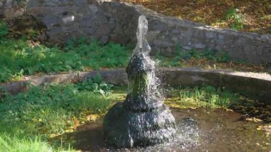 Yeşil çimen ve bitkilerle çevrili taşlarla çevrili bir gölette yosun püskürten küçük bir çeşme, etrafa saçılmış sonbahar yapraklarıyla birlikte..