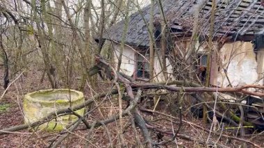 Yapraksız ağaçlar ve aşırı büyümüş dallarla çevrili terk edilmiş, harap bir ev. Çatı ve duvarları hasarlı bir şekilde çökmüş olarak görünen yapı, çürüme ve ihmal hissi veriyor..