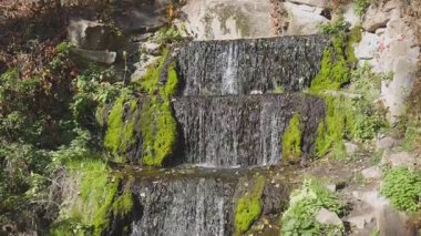 Küçük çağlayan şelale, yemyeşil bitkiler ve dağınık sonbahar yapraklarıyla çevrili yosun kaplı kayaların üzerinden akar. Huzurlu sahne doğal güneş ışığıyla yıkanır..