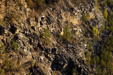 Sert dokuları olan kayalık kayalık, altın güneş ışığı ve seyrek bitki örtüsü. Engebeli arazi, etrafa saçılmış kuru bitkiler ve topraksı tonlarla doğal aşınmayı vurguluyor..