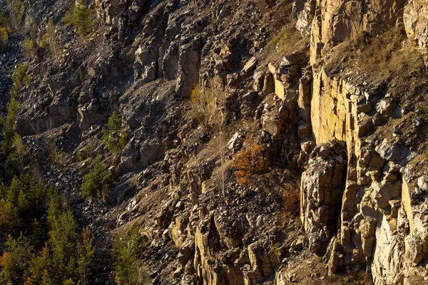 Sert dokuları olan kayalık kayalık, altın güneş ışığı ve seyrek bitki örtüsü. Engebeli arazi, etrafa saçılmış kuru bitkiler ve topraksı tonlarla doğal aşınmayı vurguluyor..