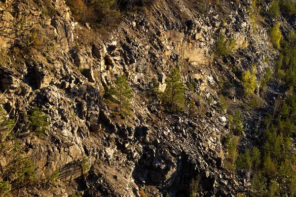 Sert dokuları olan kayalık kayalık, altın güneş ışığı ve seyrek bitki örtüsü. Engebeli arazi, etrafa saçılmış kuru bitkiler ve topraksı tonlarla doğal aşınmayı vurguluyor..