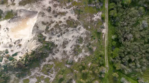 Yeşil bitki örtüsü ve ağaçlarla çevrili kumlu bir bölgenin havadan görünüşü, insansız hava aracından elde edilen çim ve çalılarla doğal bir manzara sergiliyor..