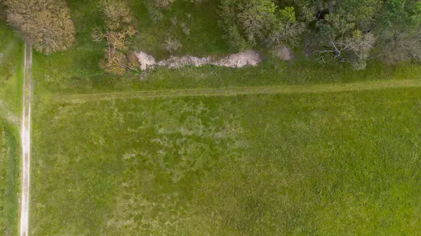 Dağılmış ağaçlar ve açık yeşil alanlarla çevrili, kesişen toprak yollarla dolu çimenli bir arazinin havadan görünüşü, sakin ve doğal bir doğa manzarası yakalıyor..