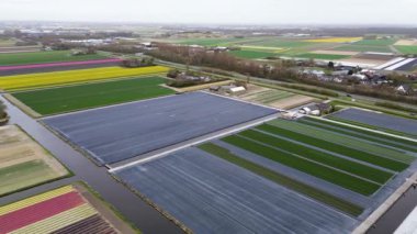 Hava görüntülerinde düz Hollanda manzarası boyunca uzanan renkli lale tarlaları, seralar ve kanallar, bir göl ve bulutlu bir gökyüzünün altında görünen uzak kasabalar görülüyor..