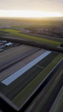 Canlı lale tarlalarının gün batımında tam çiçeklenme görüntüsü. Çizgili renkli çiçek sıraları manzara boyunca uzanır, içinden bir kanal geçer ve arka planda bir köy görünür..