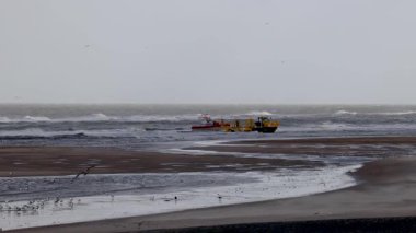 Lahey, Güney Hollanda, Hollanda - 09.07.2024: Bir kurtarma botu bir traktörle kumlu bir sahil boyunca taşınır. Dalgalar arka planda çarparken, martılar ön plandaki kayalar üzerinde dinlenir.