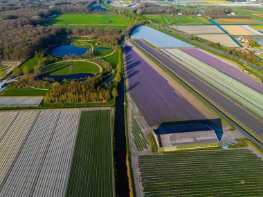 Dairesel yolları ve göletleri olan, renkli tarım arazileriyle çevrili ve sık ormanlarla çevrili eşsiz bir park manzarası. Doğa ve geometrinin çarpıcı bir karışımı.