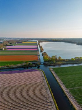Renkli çiçek tarlaları, sık ormanlar ve manzaralı bir parktaki dairesel göletlerle sahilin yakınındaki manzaralı tarım arazileri. Kuzey Denizi açık bir gökyüzünün altında görülebilir..