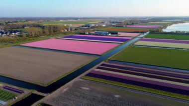 Renkli çiçek tarlaları, sık ormanlar ve manzaralı bir parktaki dairesel göletlerle sahilin yakınındaki manzaralı tarım arazileri. Kuzey Denizi açık bir gökyüzünün altında görülebilir..