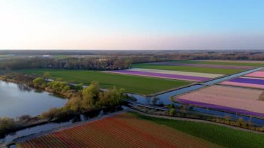 Renkli çiçek tarlaları, sık ormanlar ve manzaralı bir parktaki dairesel göletlerle sahilin yakınındaki manzaralı tarım arazileri. Kuzey Denizi açık bir gökyüzünün altında görülebilir..