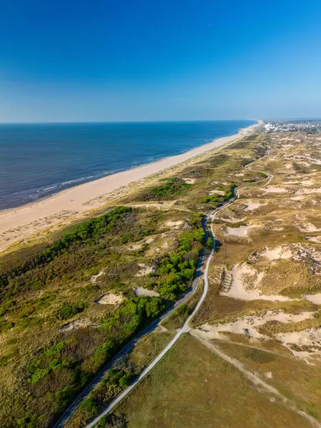 Kıyı boyunca uzanan, berrak mavi gökyüzü ve sakin denizle çevrili, sakin, sakin, doğal bir atmosfer yaratan kumsal manzarası..