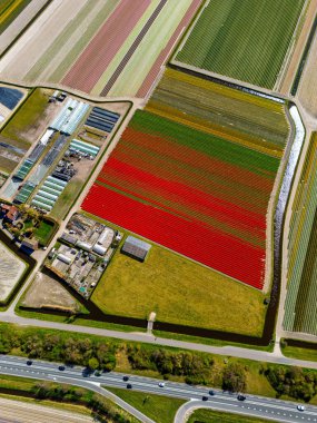 İnsansız hava aracı videosu, deniz kenarındaki insan yapımı tepeciklerin ve su yollarının eşsiz bir manzarasını, çimenli arazide bir evi ve bulutlu bir gökyüzünün altında uzanan kıyı şeridini gösteriyor..