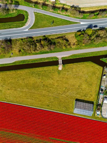 Rengarenk bir çiçek tarlasının yukarıdan aşağı manzarası düzgün sıralanmış sıralar, kıvrımlı bir kırsal yol, bir kanal ve uzun sabah gölgeleri olan hareket eden arabaların olduğu bir otoyol. Huzurlu bahar sahnesi.