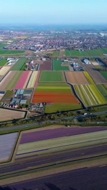 Rengarenk çiçek tarlaları, tarım arazileri ve açık mavi gökyüzünün altındaki yakın bir kasaba, canlı tarım arazileri ve kırsal yolların bir kısmını gösteriyor..