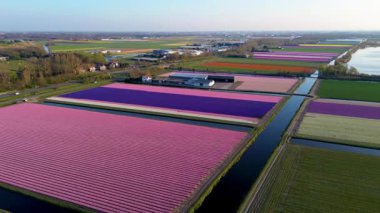 Renkli çiçek tarlaları, sık ormanlar ve manzaralı bir parktaki dairesel göletlerle sahilin yakınındaki manzaralı tarım arazileri. Kuzey Denizi açık bir gökyüzünün altında görülebilir..