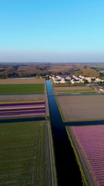 Etrafı tarlalar ve kanallarla çevrili huzurlu bir banliyö manzarası. Kırmızı çatıları olan düzenli evler suları yansıtıyor, tarlaların arka planına ve açık gökyüzüne karşı kuruluyor..