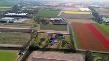 Renkli lale tarlaları, seralar ve açık mavi gökyüzünün altında görülebilen uzak bir kasabayla birlikte Hollanda 'nın bu çarpıcı tarım arazisi görüntülerinde muhteşem bir sıra halinde araziye yayılıyor..