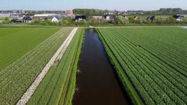 İnsansız hava aracı görüntülerinde düzgün sıralanmış yeşil ekin tarlaları, dar bir kanal, modern evler ve manzaralı bir kasaba ve kırsal alan açık gökyüzünün altında uzanan seralar görülüyor..