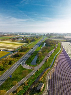 Canlı lale tarlalarının hava manzarası, açık mavi bir gökyüzü altında, yakındaki yollar, çiftlikler ve uzak bir kasaba ile kırsal bir alanda renkli çiçek sıraları sergiliyor..