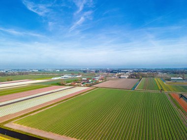 Hollanda kırsalının hava panoramik manzarasında tarım arazileri, yeşil tarlalar, ormanlar ve uzak bir kasabaya doğru uzanan bir otoyol var..