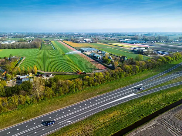 Hollanda kırsalının hava panoramik manzarasında tarım arazileri, yeşil tarlalar, ormanlar ve uzak bir kasabaya doğru uzanan bir otoyol var..
