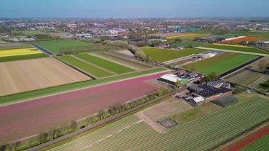 Hava görüntülerinde düz Hollanda manzarası boyunca uzanan renkli lale tarlaları, seralar ve kanallar, bir göl ve bulutlu bir gökyüzünün altında görünen uzak kasabalar görülüyor..