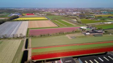Hava görüntülerinde düz Hollanda manzarası boyunca uzanan renkli lale tarlaları, seralar ve kanallar, bir göl ve bulutlu bir gökyüzünün altında görünen uzak kasabalar görülüyor..