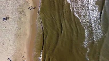 Yumuşak dalgaların kumlu sahille buluştuğu sahilin havadan görünüşü. İnsanlar kuma dağılmış durumda, bazıları kumdan kaleler yapıyor, diğerleri güneşli günün tadını çıkarıyor..