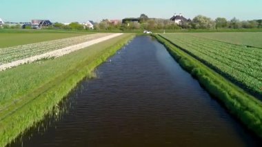 İnsansız hava aracı görüntülerinde düzgün sıralanmış yeşil ekin tarlaları, dar bir kanal, modern evler ve manzaralı bir kasaba ve kırsal alan açık gökyüzünün altında uzanan seralar görülüyor..