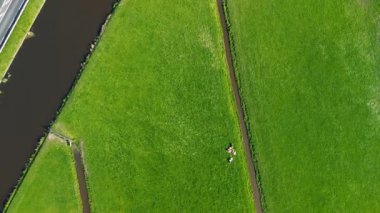 Geleneksel bir yel değirmeni olan, kanal, yeşil tarlalar ve açık mavi gökyüzü altında hareket eden arabaların olduğu bir yol. Renkli bir çiçek tarlasının yukarıdan aşağıya havadan görünüşü.