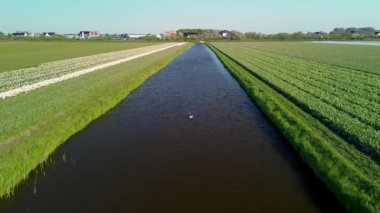 İnsansız hava aracı görüntülerinde düzgün sıralanmış yeşil ekin tarlaları, dar bir kanal, modern evler ve manzaralı bir kasaba ve kırsal alan açık gökyüzünün altında uzanan seralar görülüyor..