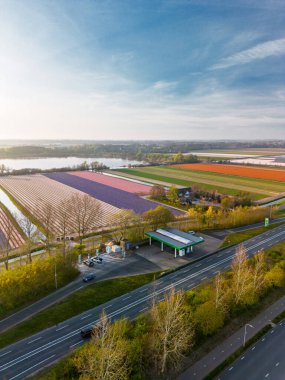 Hollanda kırsalının hava panoramik manzarasında tarım arazileri, yeşil tarlalar, ormanlar ve uzak bir kasabaya doğru uzanan bir otoyol var..